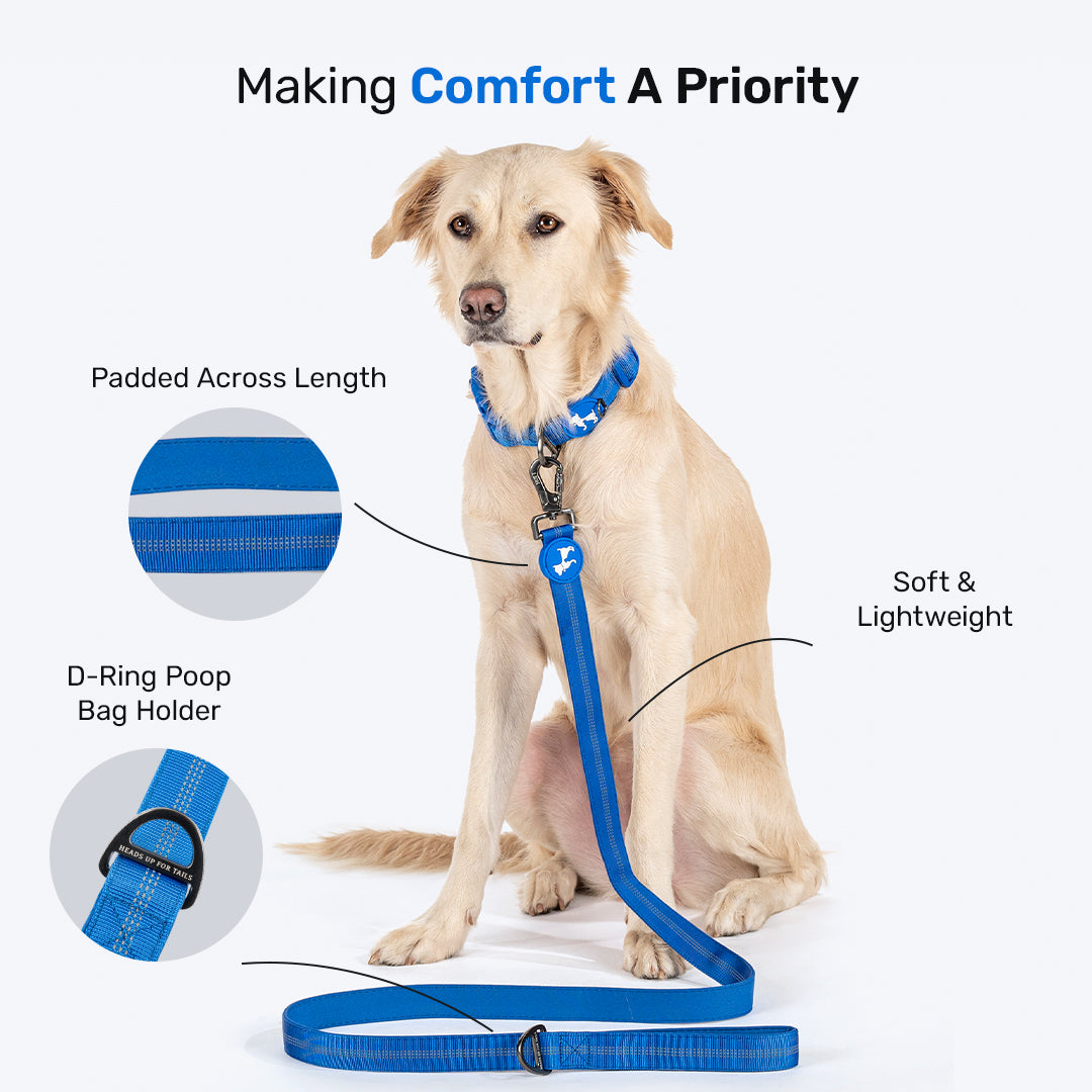 HUFT Comfort Plus Leash For Dog - Blue - Heads Up For Tails
