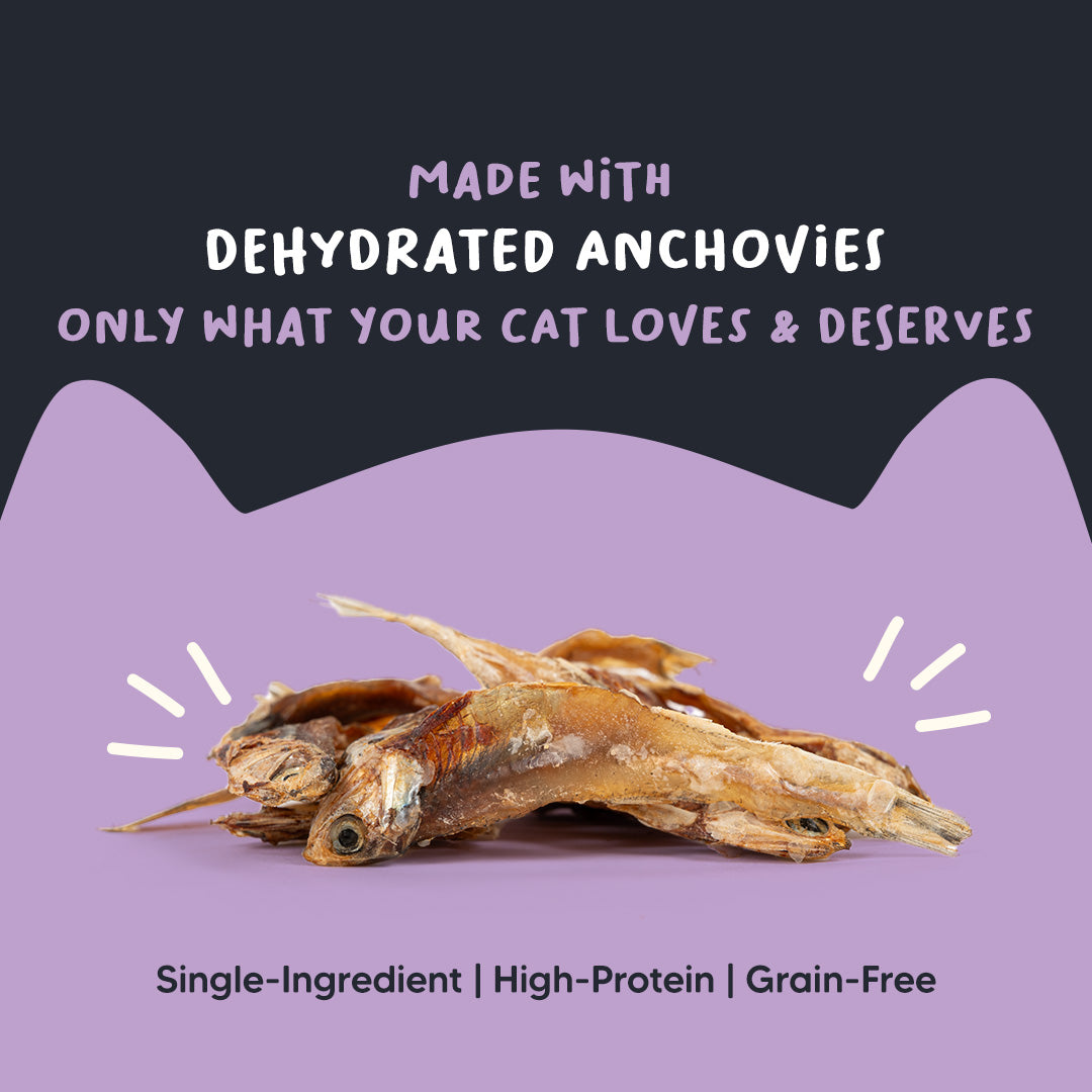 Meowsi by HUFT Dehydrated Anchovies Crunchies Cat Treats - 35 g - Heads Up For Tails