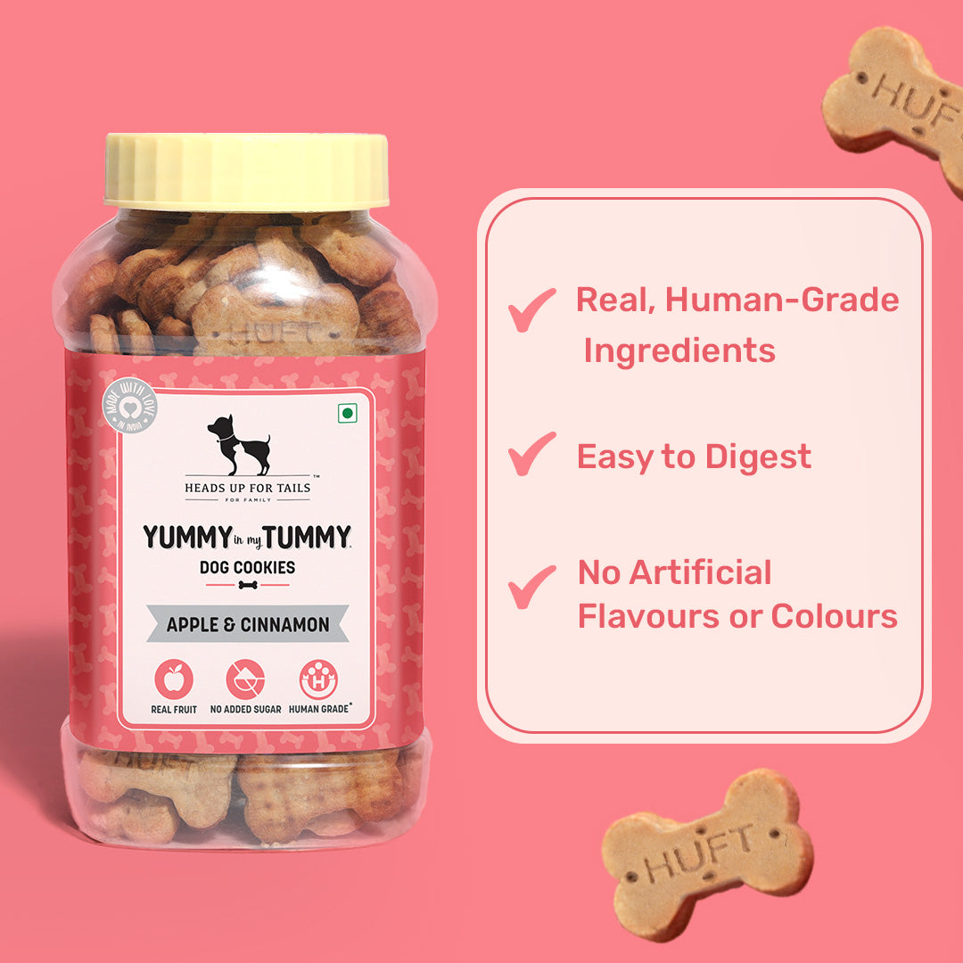 HUFT YIMT Apple & Cinnamon Vegetarian Dog Biscuits - Heads Up For Tails