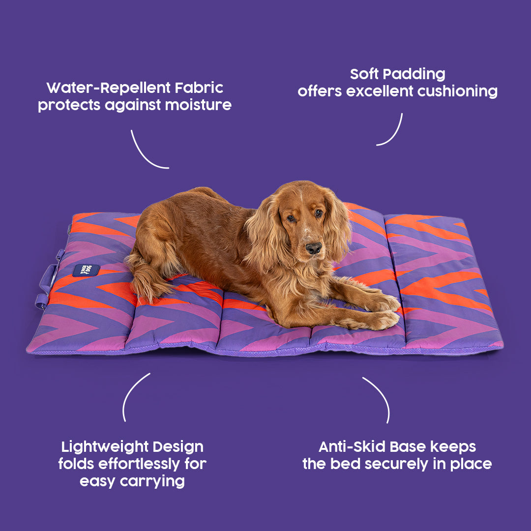 Dash Dog Zig Zaggers Water Repellent Portable Mat For Dog - Orange & Purple - Heads Up For Tails