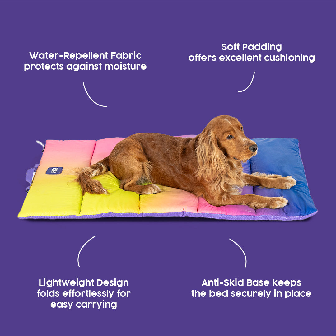 Dash Dog Ombre Fusion Water Repellent Portable Mat For Dog - Purple & Yellow - Heads Up For Tails
