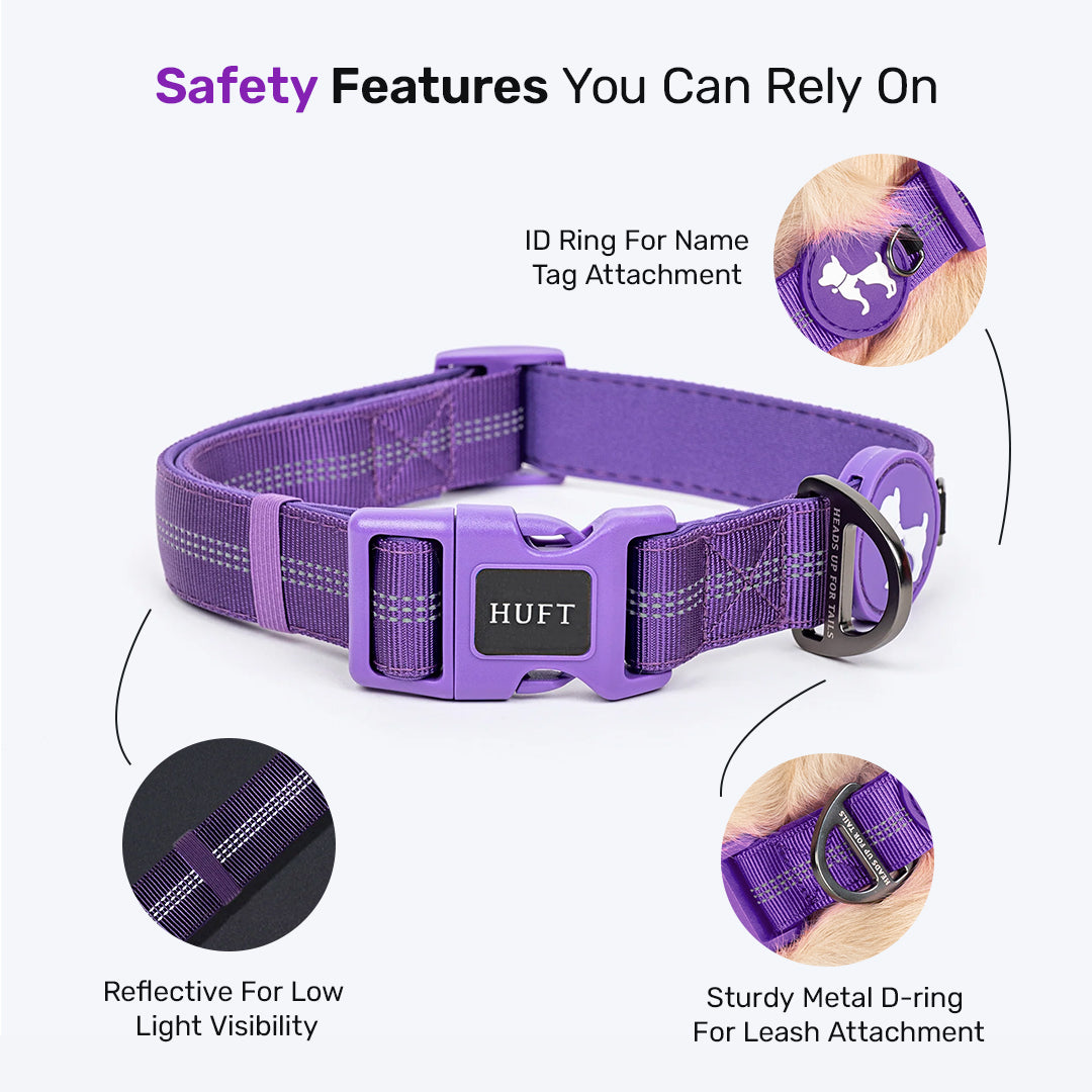 HUFT Comfort Plus Collar For Dog - Purple - Heads Up For Tails
