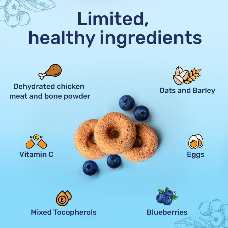 HUFT Berry Bites - Chicken & Blueberry Treats For Dogs - 140 gm - Heads Up For Tails