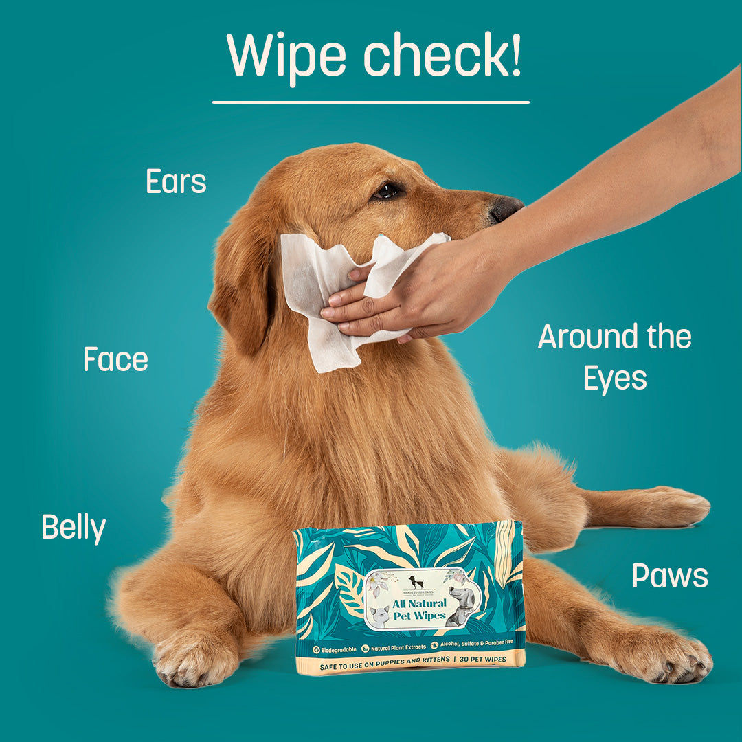 HUFT Biodegradable Pet Wipes - Heads Up For Tails