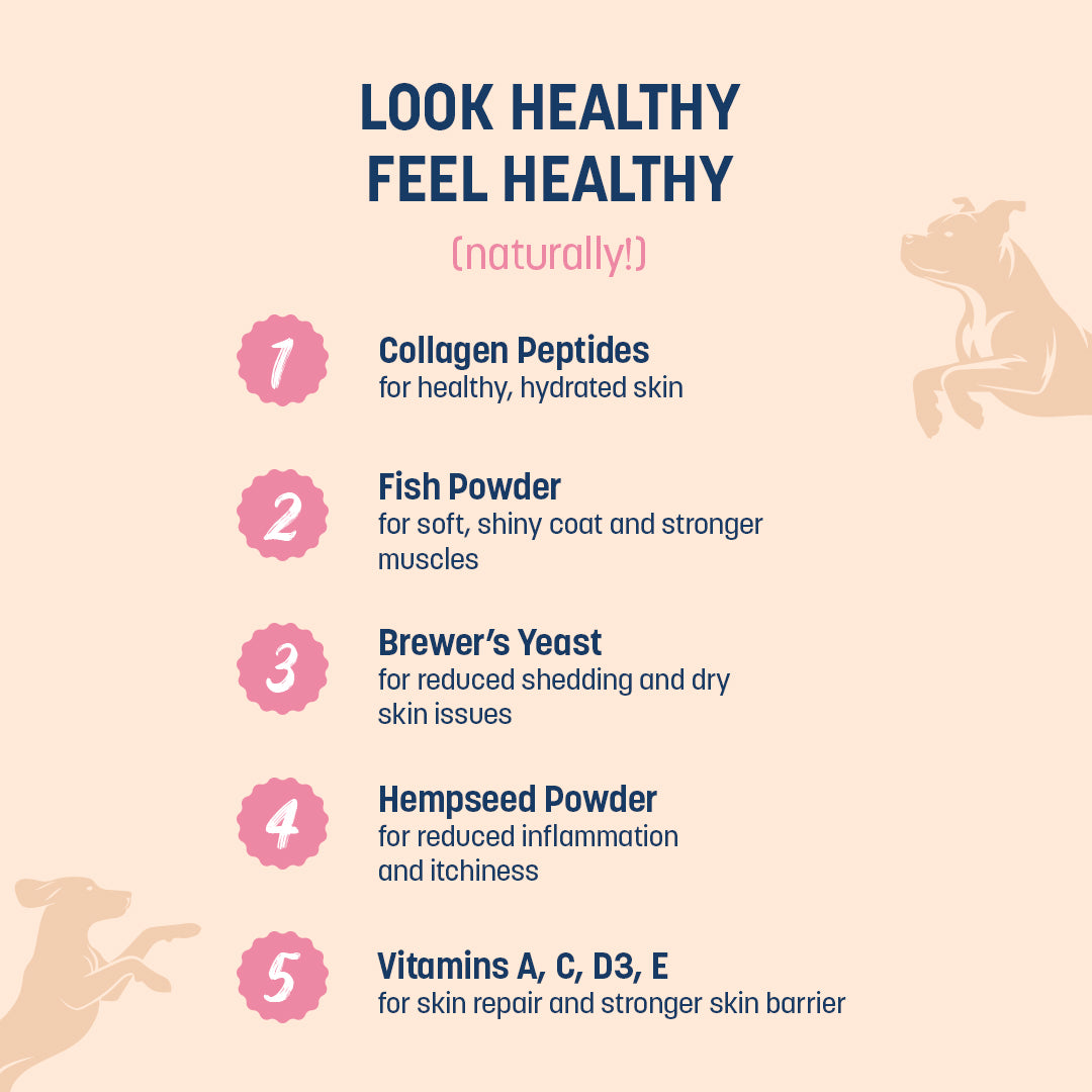 Sars's Boosters Skin & Coat Health Supplement For Dogs - 200 gm - Heads Up For Tails