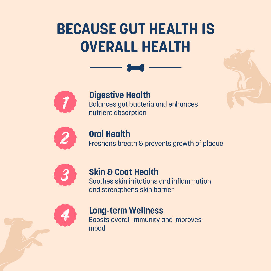 Sara's Daily Probiotic Chews: Gut & Digestive Support Treats For Dog - 70 gm