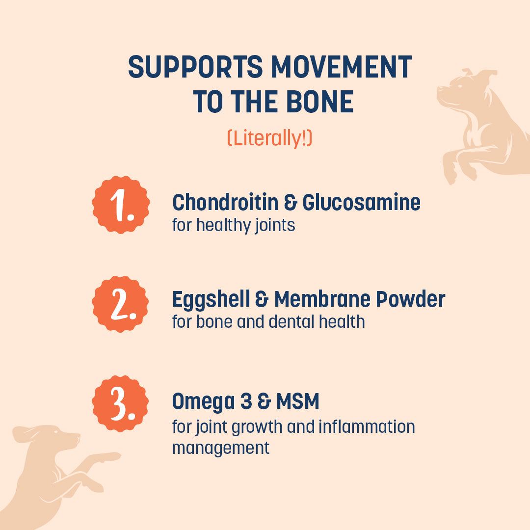 Sara's Boosters Bone & Joint Mobility Supplement For Dog - 300 gm - Heads Up For Tails