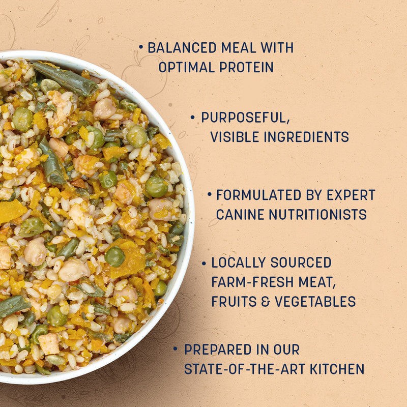 Sara's Wholesome Classic Paneer & Veggies Dog Food, 300 gm, features 35% paneer and 65% fruits, veggies, and brown rice.