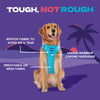 Dash Dog Zoom Walk Along Harness - Aqua Blue & Lavender - Heads Up For Tails