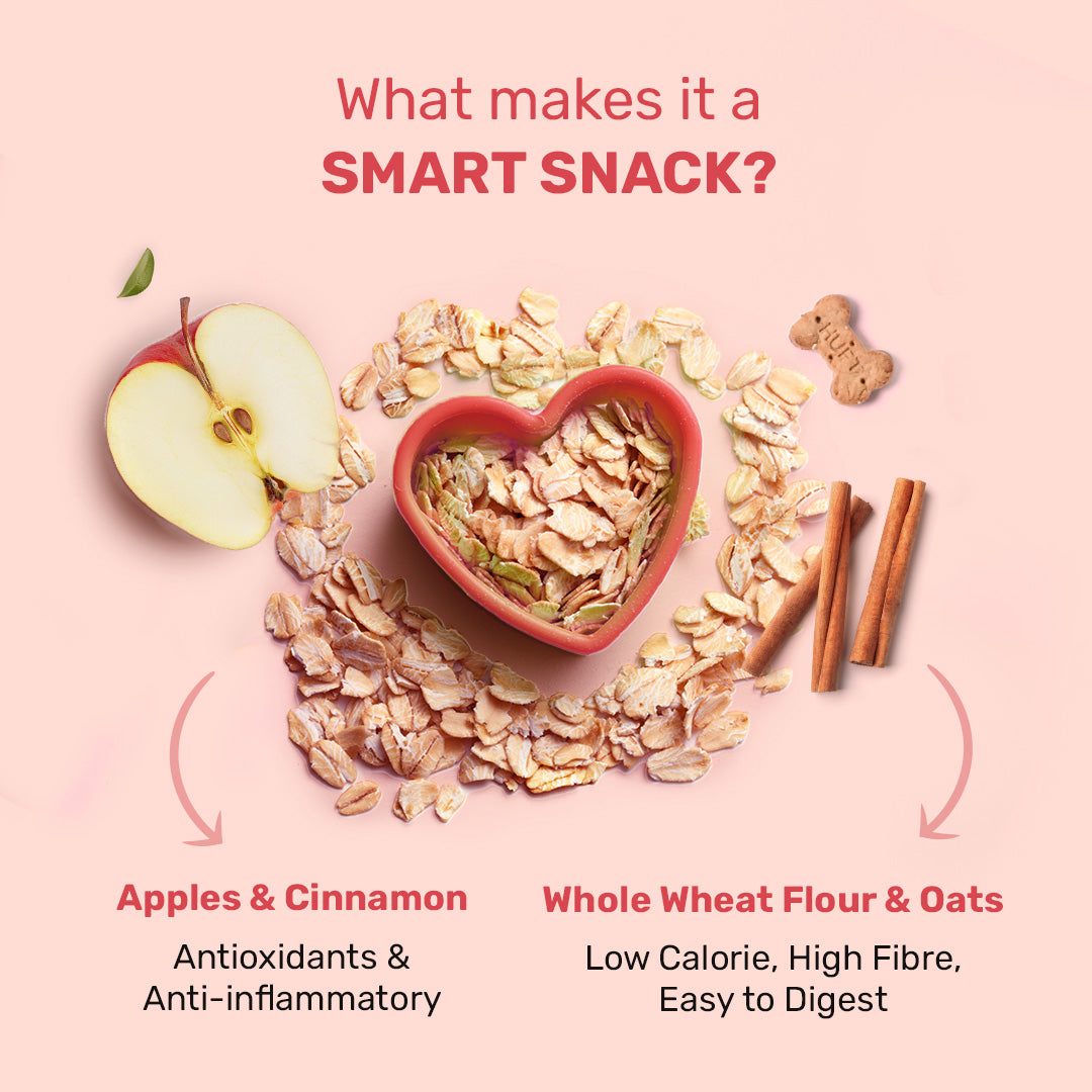 HUFT YIMT Apple & Cinnamon Vegetarian Dog Biscuits - Heads Up For Tails