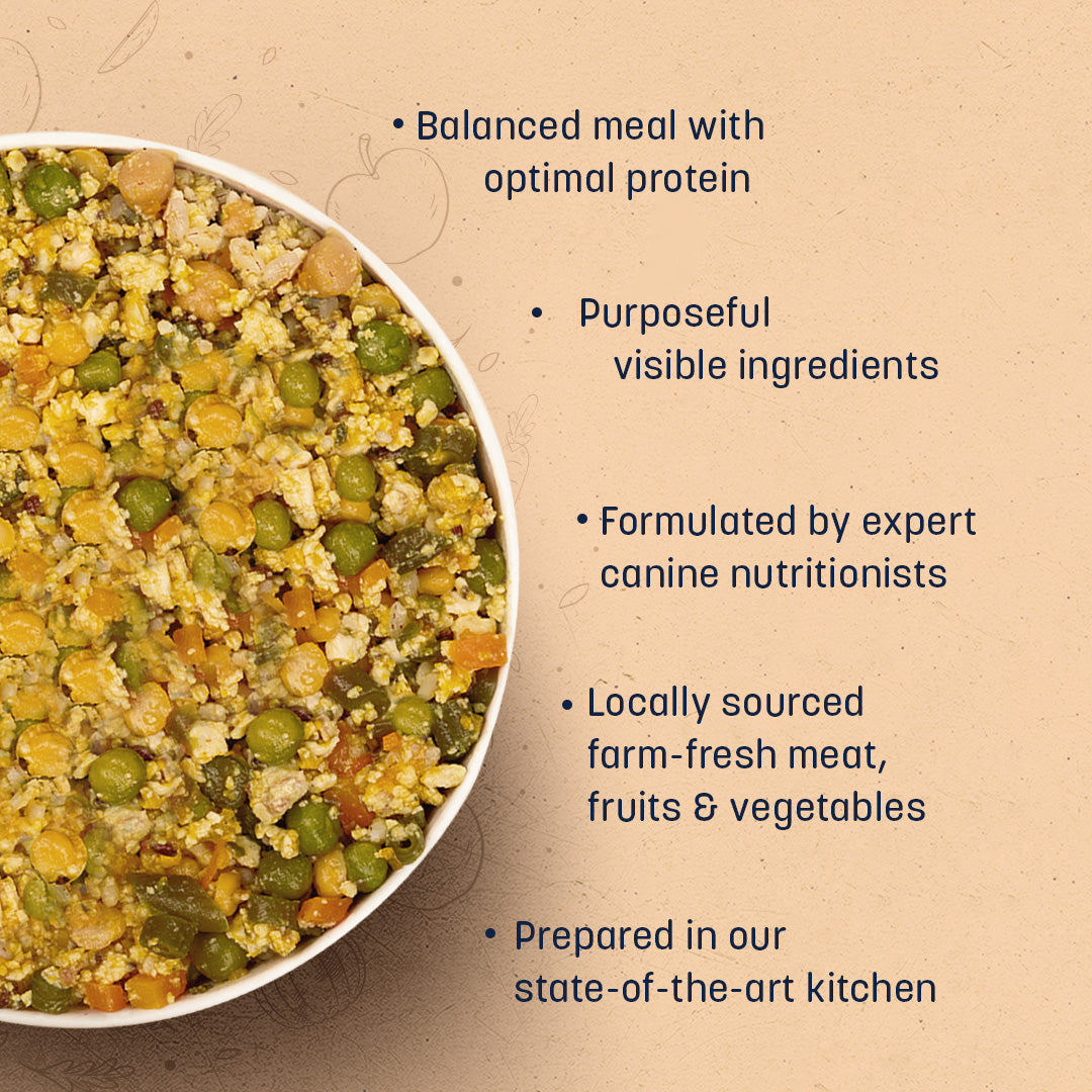 HUFT Sara's Wholesome Food - Classic Paneer And Eggs Dog Food (300gm Pack) - Heads Up For Tails