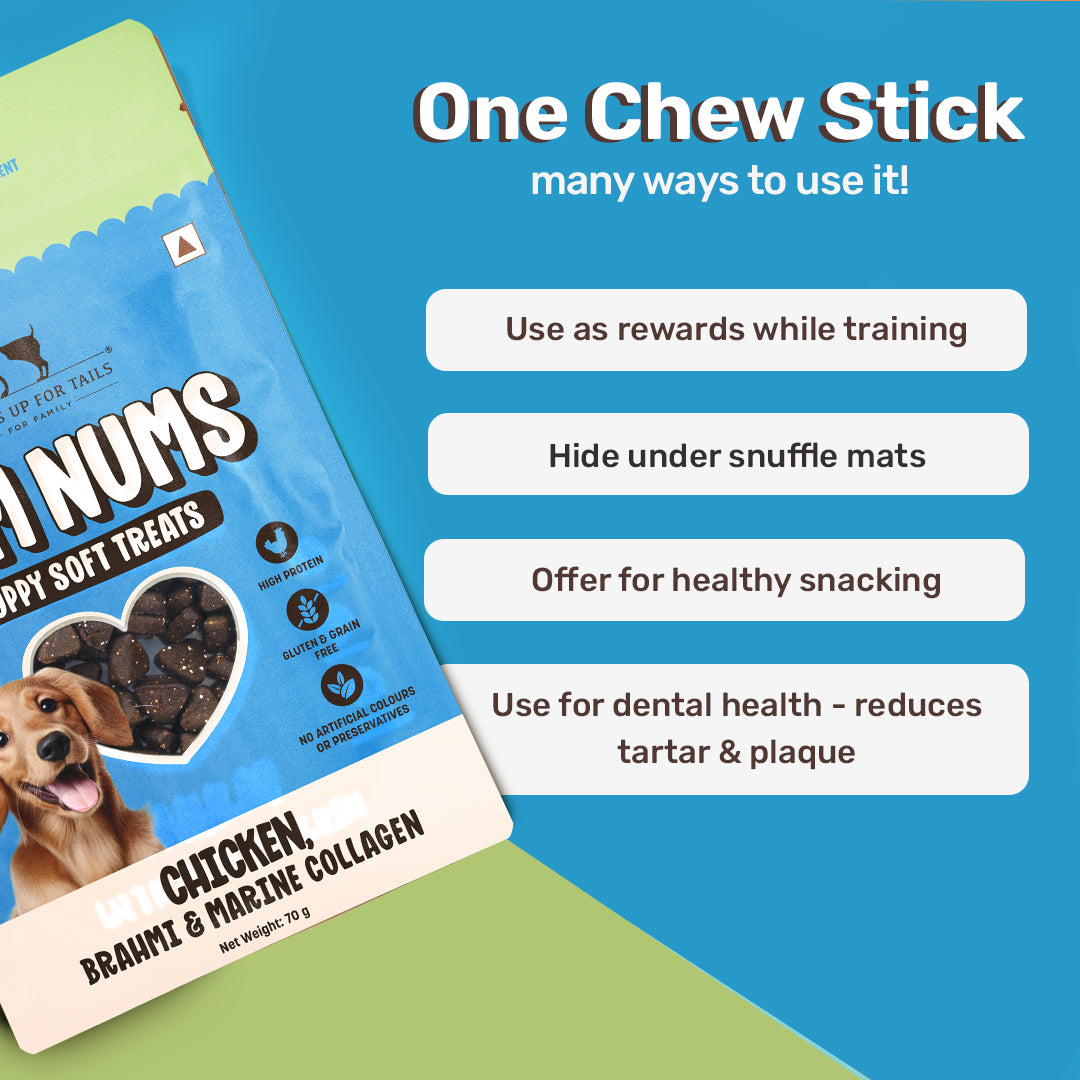 HUFT Yum Nums Chicken, Brahmi & Marine Collagen Soft Treat For Puppy - 70 gm - Heads Up For Tails