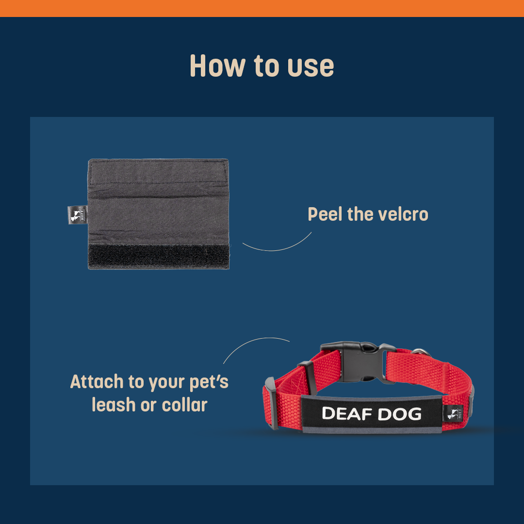 HUFT Trooper Walking Aid Leash & Collar Insert (Deaf Dog) - Heads Up For Tails
