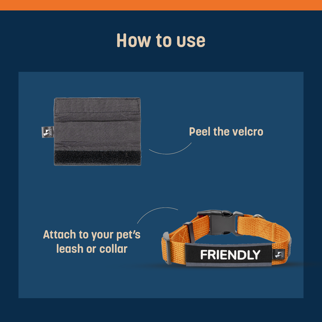 HUFT Trooper Walking Aid Leash & Collar Insert (Friendly) - Heads Up For Tails