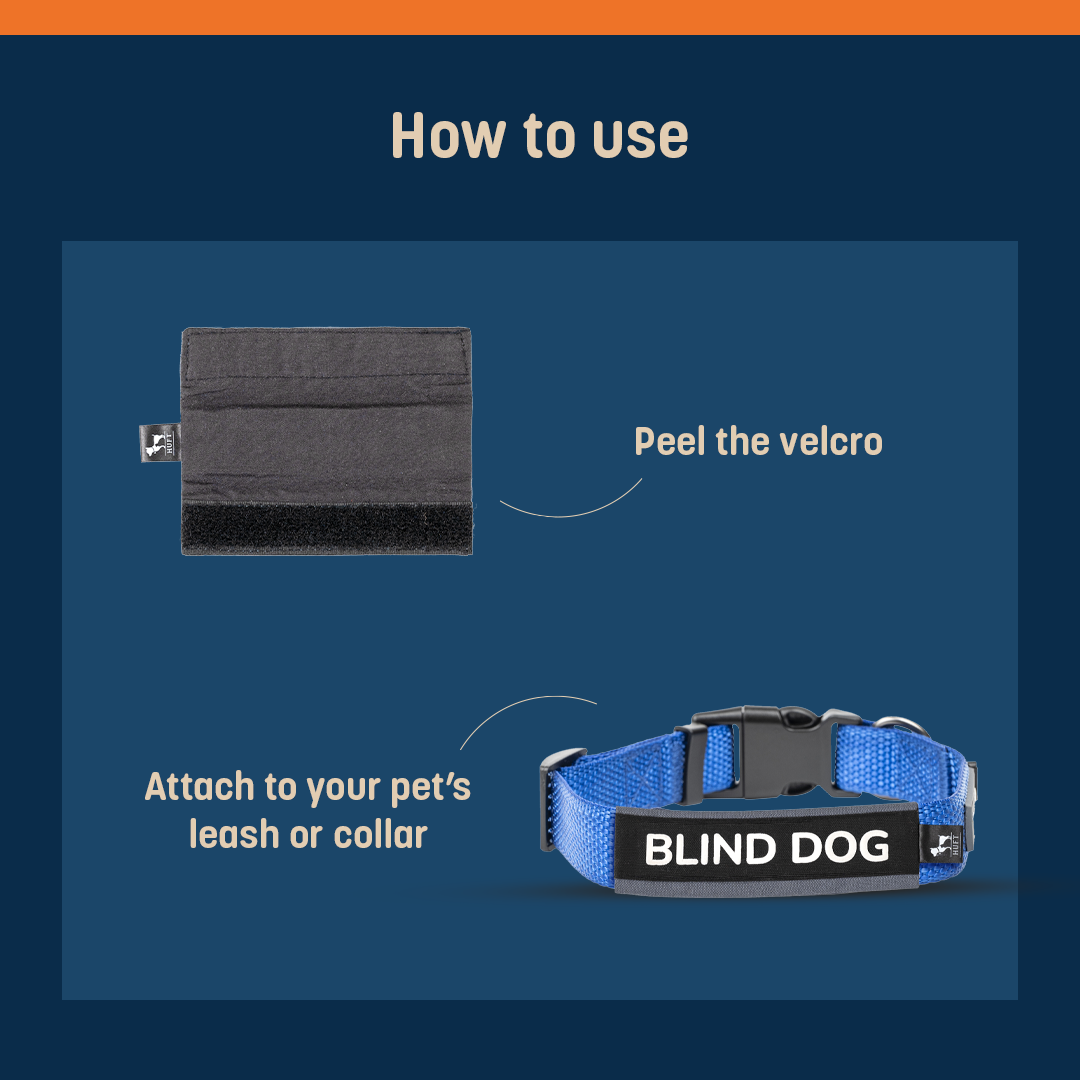 HUFT Trooper Walking Aid Leash & Collar Insert (Blind Dog) - Heads Up For Tails