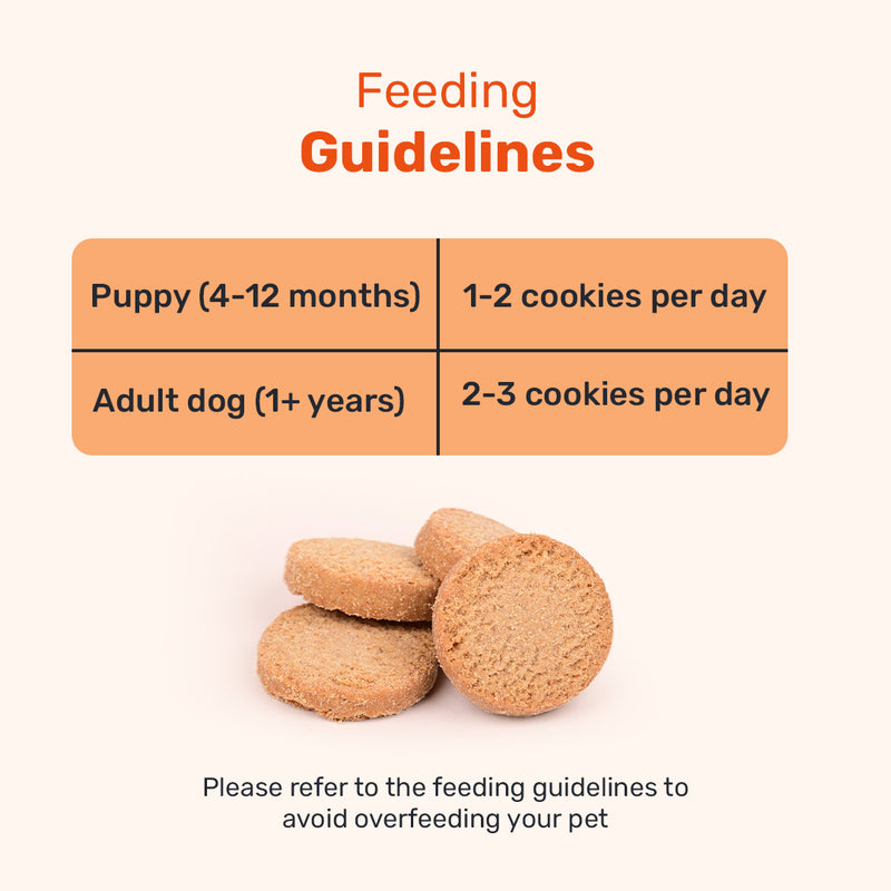 HUFT YIMT Chai Time Special Coconut Cabana Dog Biscuits, 200 gm, with feeding guidelines for puppies and adult dogs