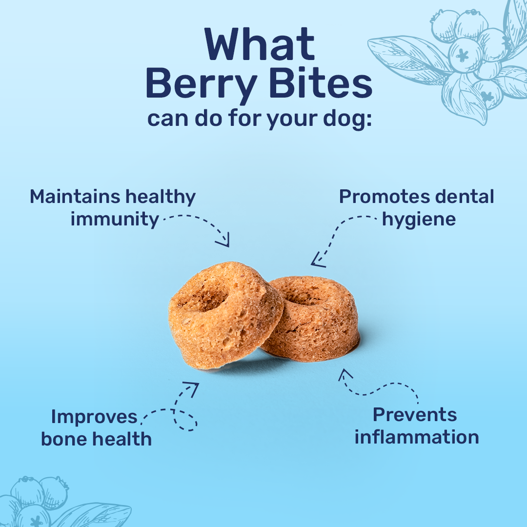 HUFT Berry Bites - Chicken & Blueberry Treats For Dogs - 140 gm - Heads Up For Tails