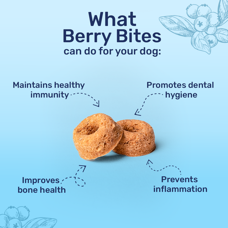HUFT Berry Bites - Chicken & Blueberry Treats For Dogs - 140 gm - Heads Up For Tails
