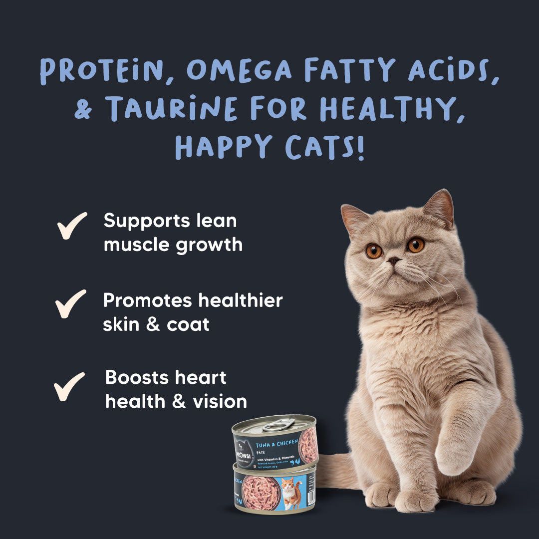 Meowsi By HUFT Tuna & Chicken Pate Canned Cat Wet Food - 80 gm - Heads Up For Tails