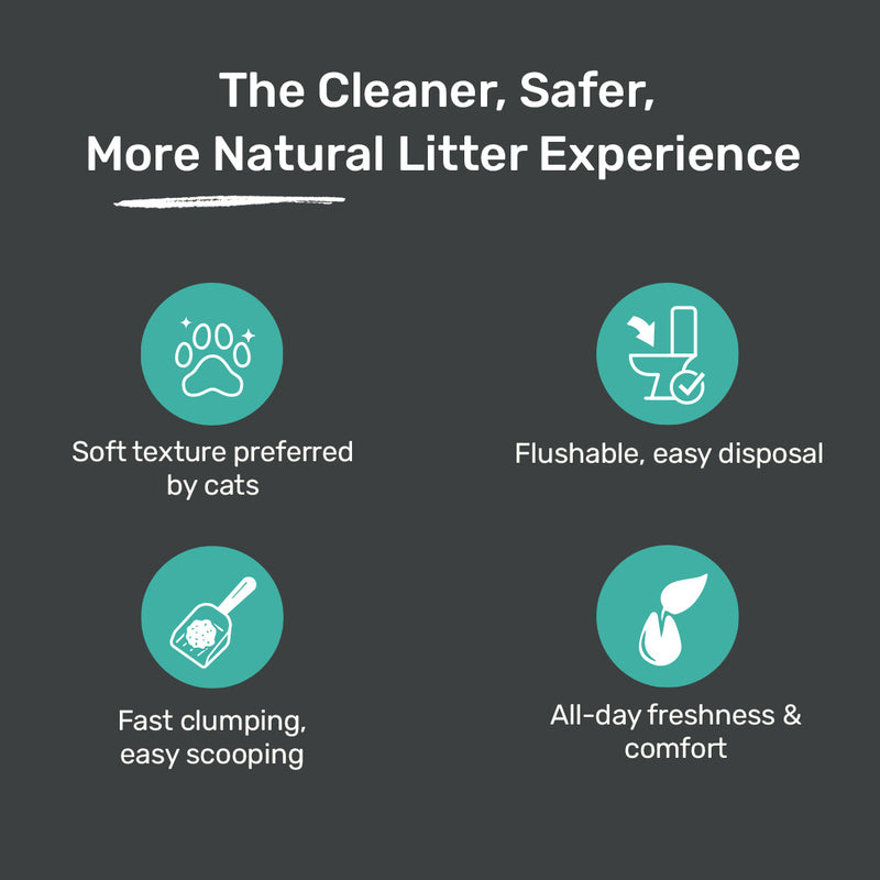 Meowsi by HUFT Tofu Cat Litter, Unscented, 6 Ltr, eco-friendly, fast clumping, 99% dust-free, antibacterial.