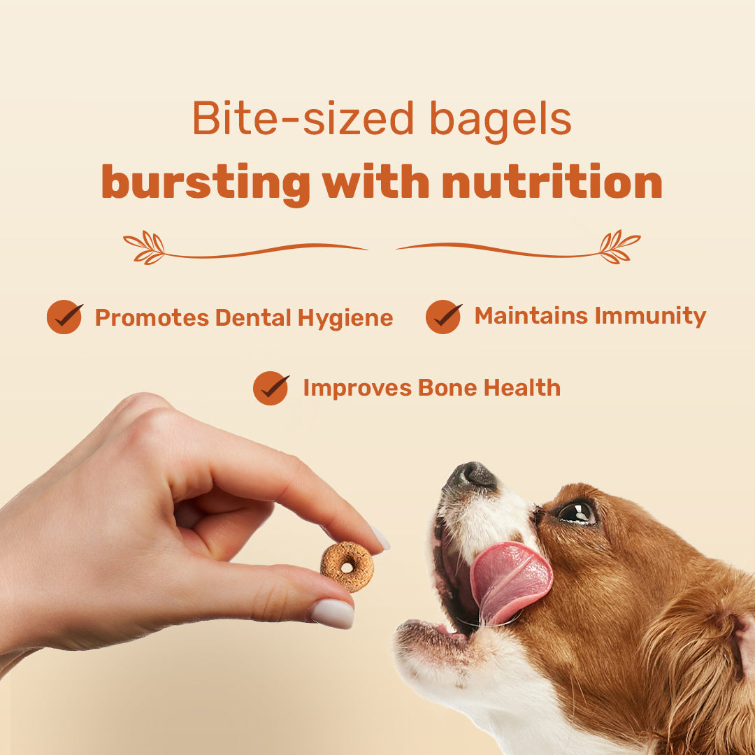 HUFT Bagel Bites Made With Real Chicken & Cheese Treat For Dog - 140 gm - Heads Up For Tails
