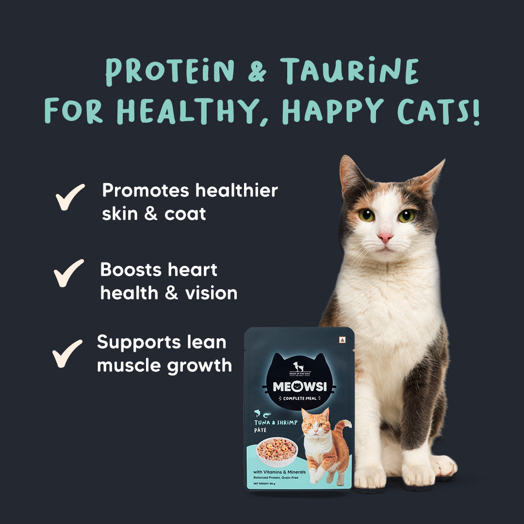 Meowsi by HUFT Tuna & Shrimp Pate Cat Wet Food - 80 gm - Heads Up For Tails