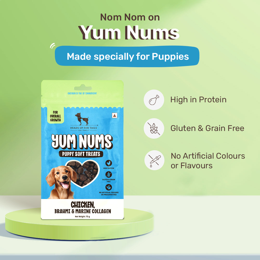 HUFT Yum Nums Chicken, Brahmi & Marine Collagen Soft Treat For Puppy - 70 gm - Heads Up For Tails