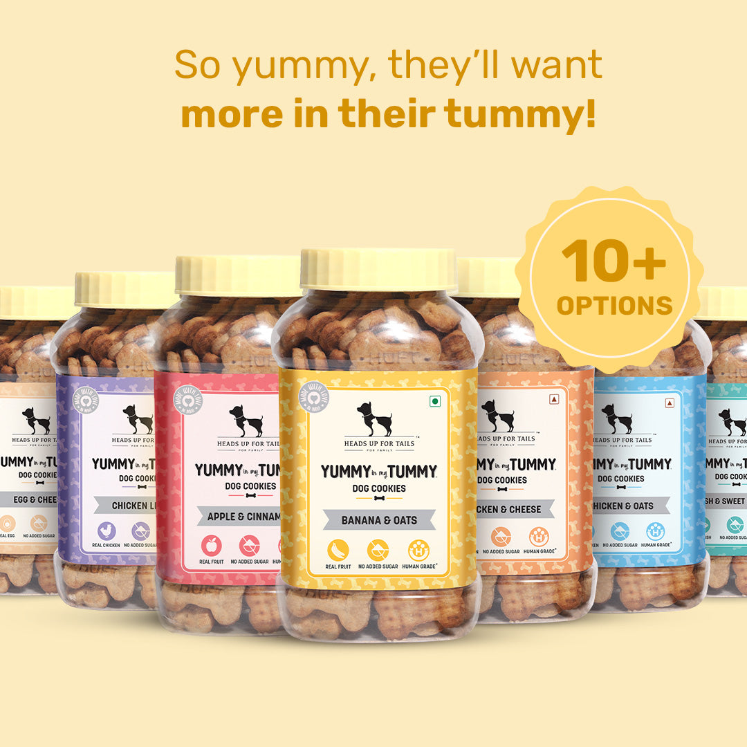 HUFT YIMT Banana & Oats Vegetarian Dog Biscuits - Heads Up For Tails