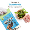 HUFT Yum Nums Chicken, Brahmi & Marine Collagen Soft Treat For Puppy - 70 gm - Heads Up For Tails