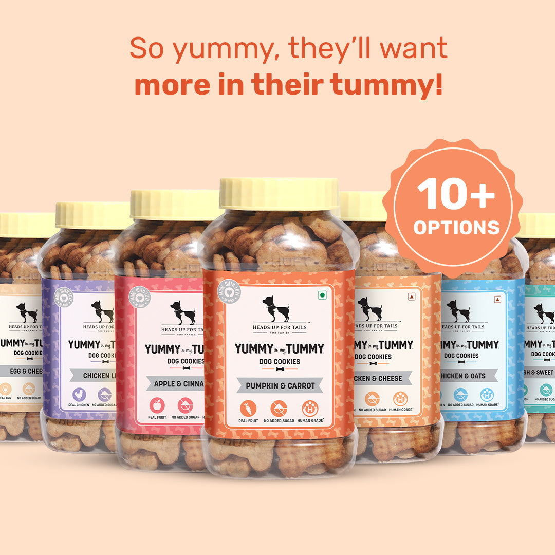 HUFT YIMT Pumpkin & Carrots Vegetarian Dog Biscuits - Heads Up For Tails