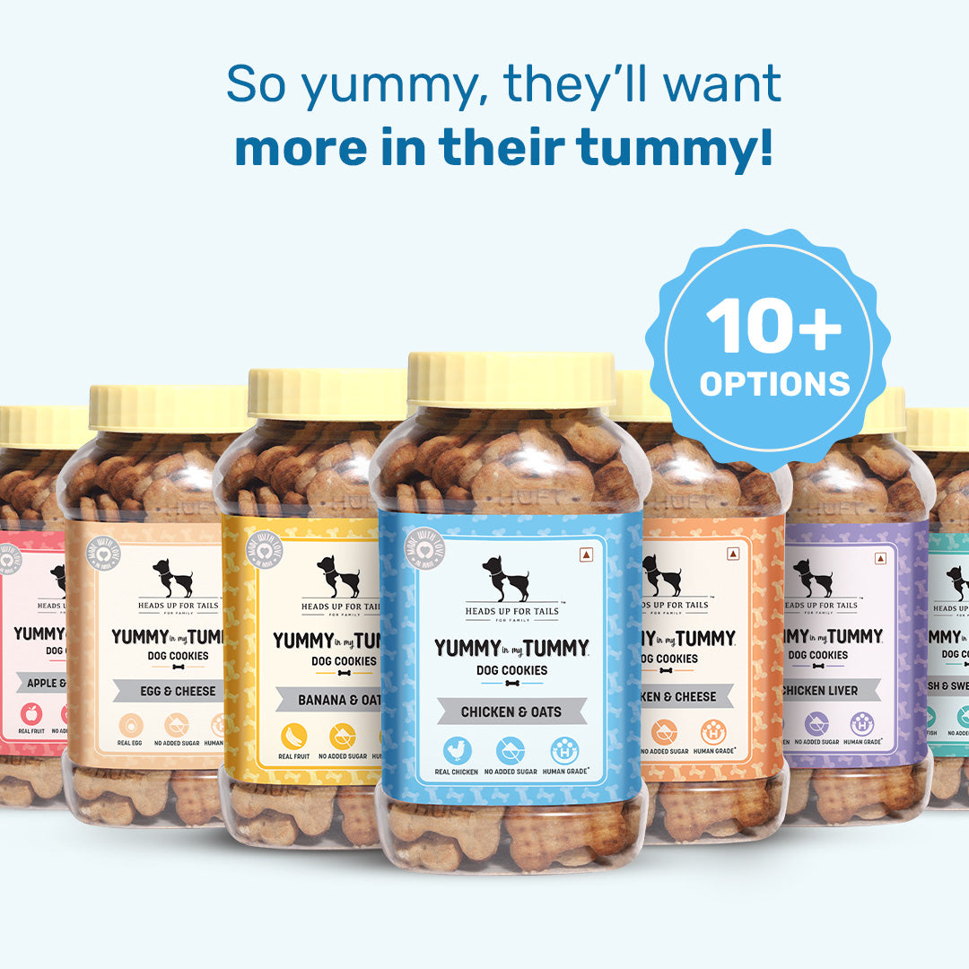 HUFT YIMT Chicken & Oats Dog Biscuits - Heads Up For Tails