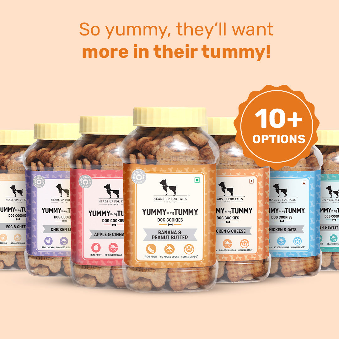 HUFT YIMT Banana & Peanut Butter Dog Biscuits - Heads Up For Tails