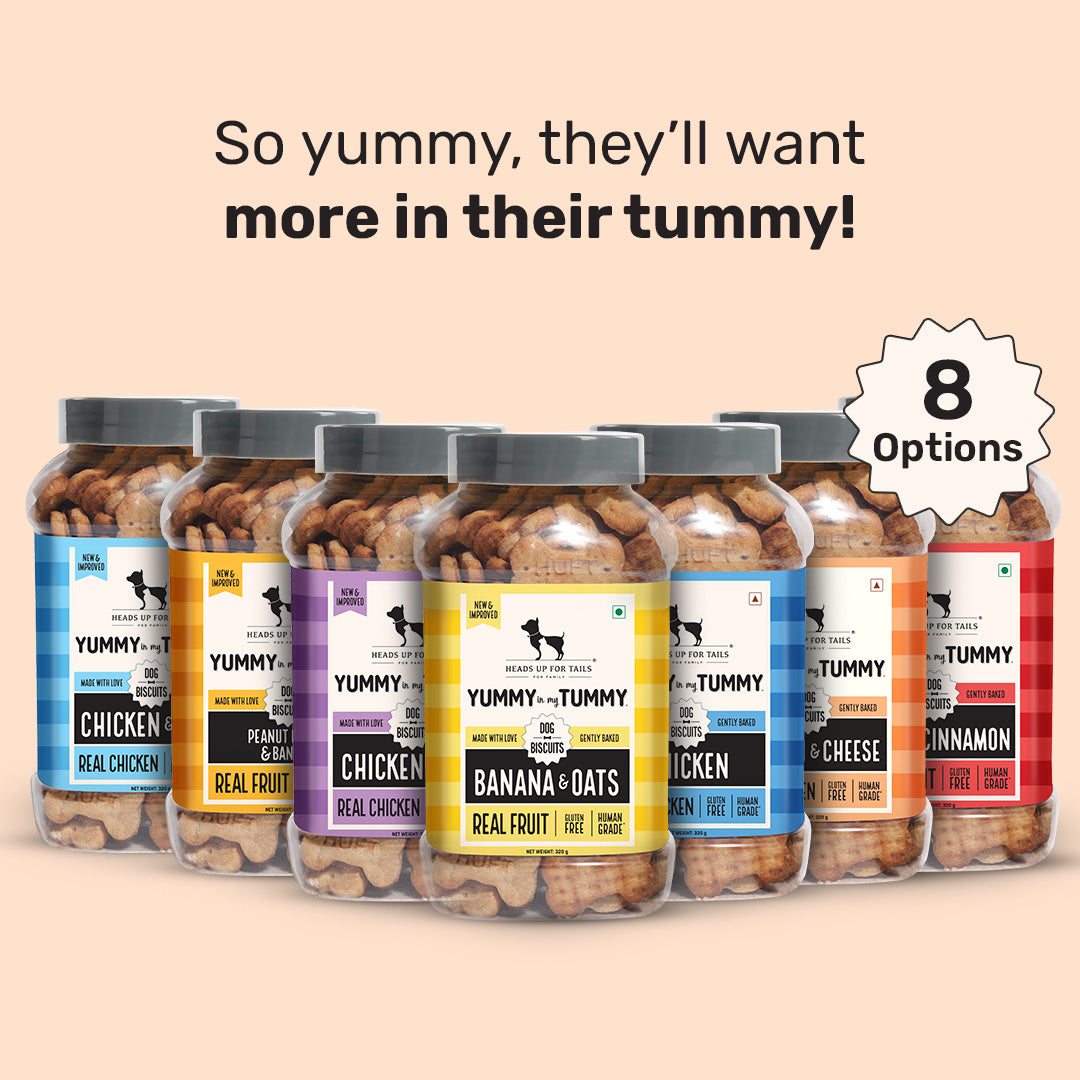 HUFT YIMT Chicken & Cheese Gluten-Free Dog Biscuits - Heads Up For Tails