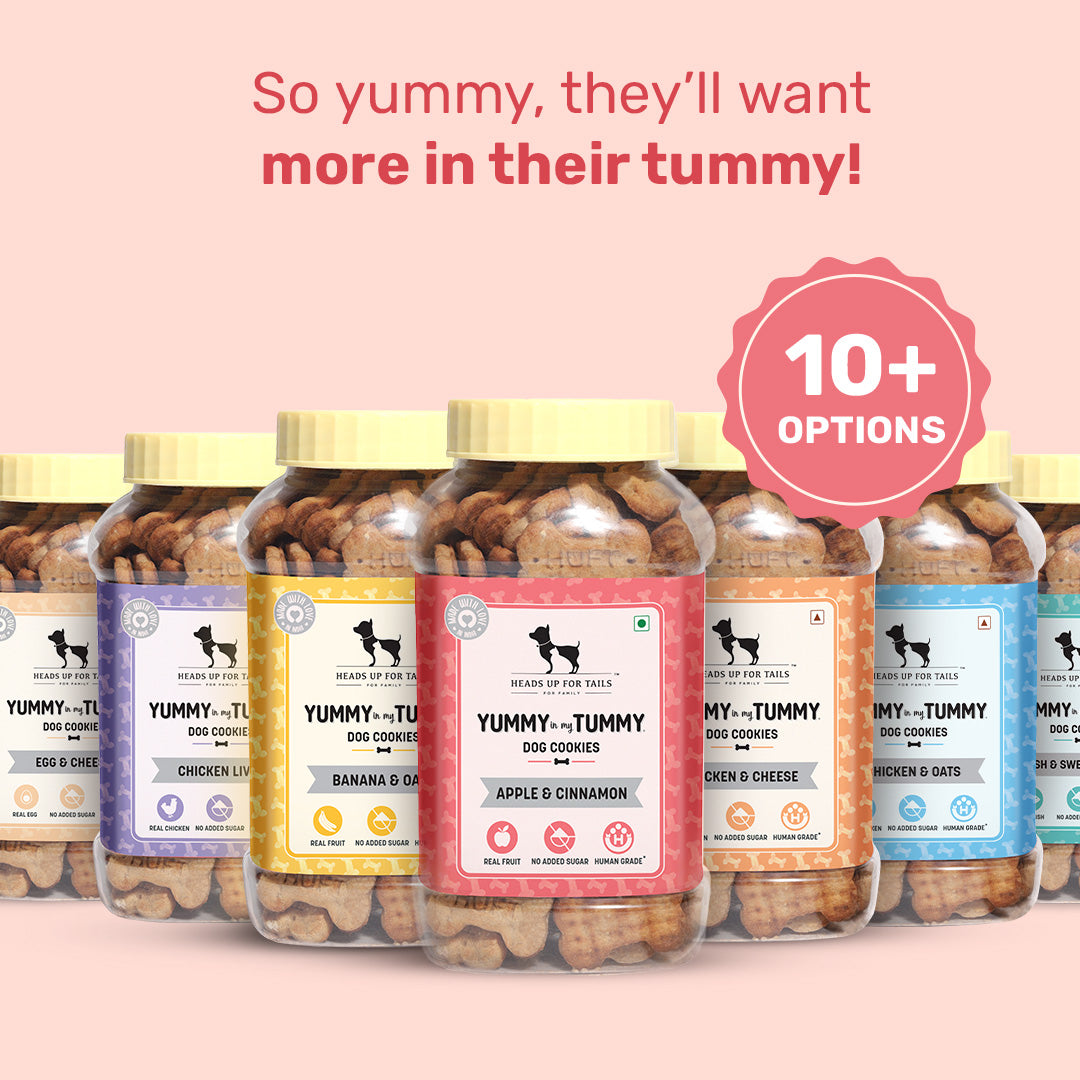 HUFT YIMT Apple & Cinnamon Vegetarian Dog Biscuits - Heads Up For Tails