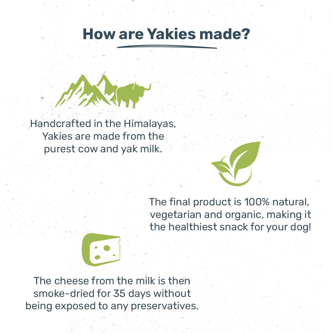 HUFT Yakies Vegetarian Natural Chew Bone - Mint - Heads Up For Tails