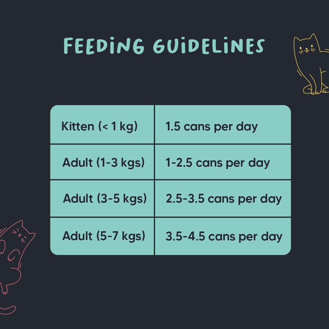 Meowsi by HUFT Tuna & Shrimp Pate Canned Cat Wet Food - 80 gm - Heads Up For Tails