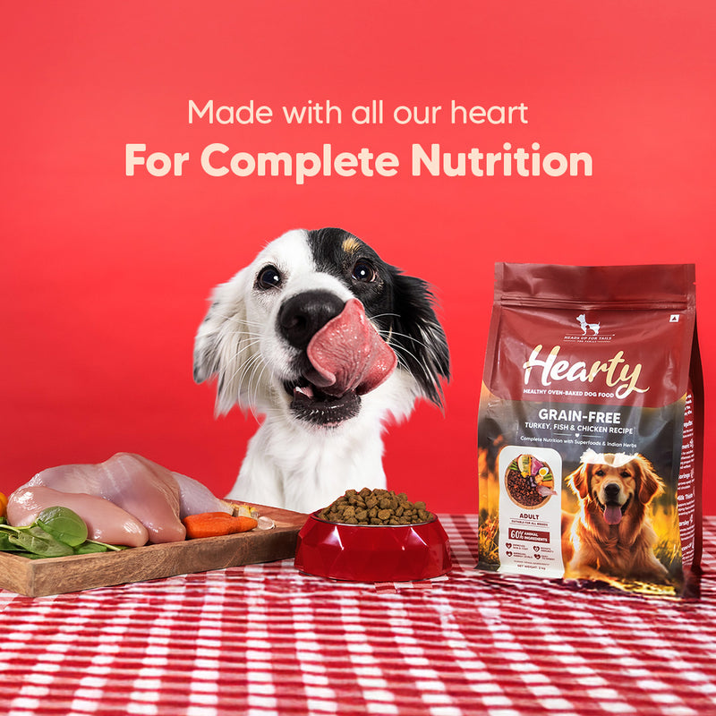 Hearty Turkey, Fish & Chicken Grain-Free Oven-Baked Dog Food, 2 kg, suitable for all breeds, by Heads Up for Tails.