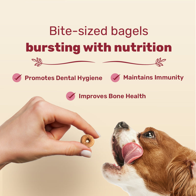 HUFT Bagel Bites Made With Real Chicken & Ham Treat For Dog - 140 gm - Heads Up For Tails