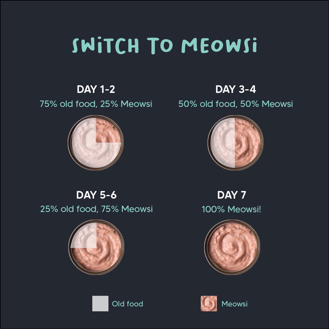 Meowsi by HUFT Tuna & Shrimp Pate Cat Wet Food - 80 gm - Heads Up For Tails