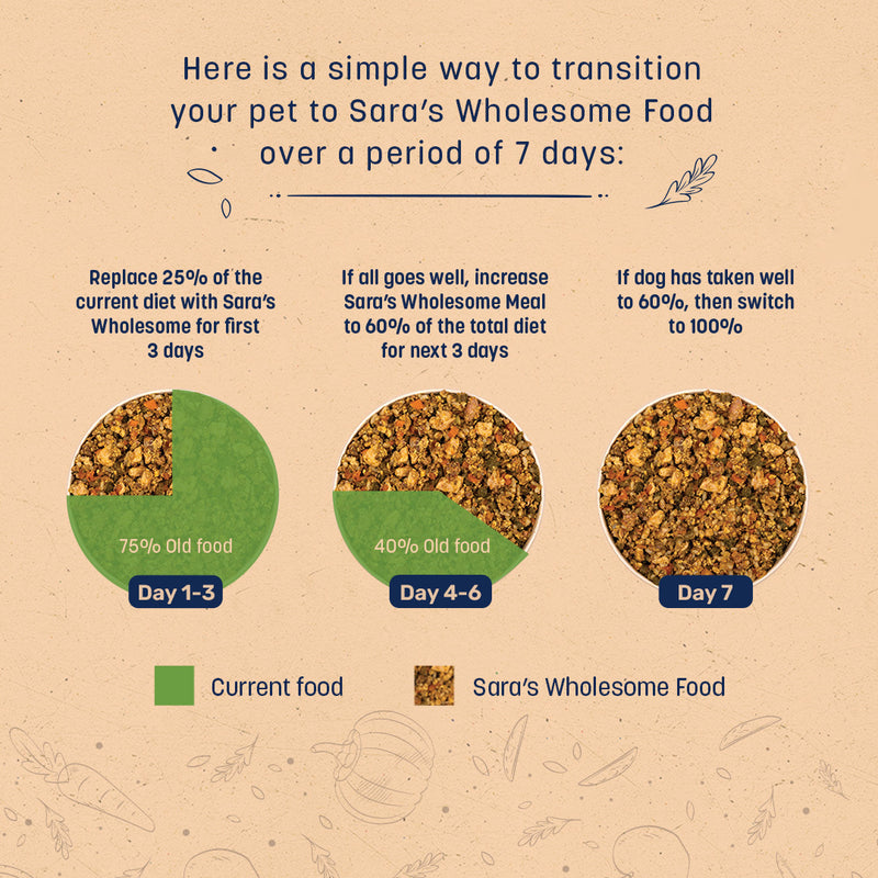 Sara's Wholesome Classic Paneer & Veggies Dog Food, 300 gm, features 35% paneer and 65% fruits, veggies, and brown rice.