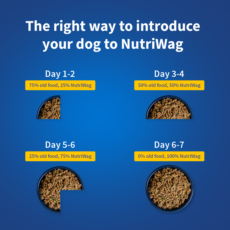 NutriWag Complete Wet Meals With Chicken, Rice & Spinach For Dog