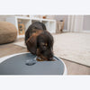 Trixie TX4+1 Automatic Food Dispenser For Pets - White & Grey_02