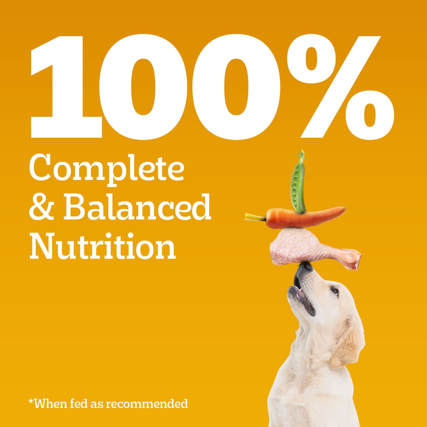 Pedigree Chicken & Milk Dry Puppy Food - Heads Up For Tails