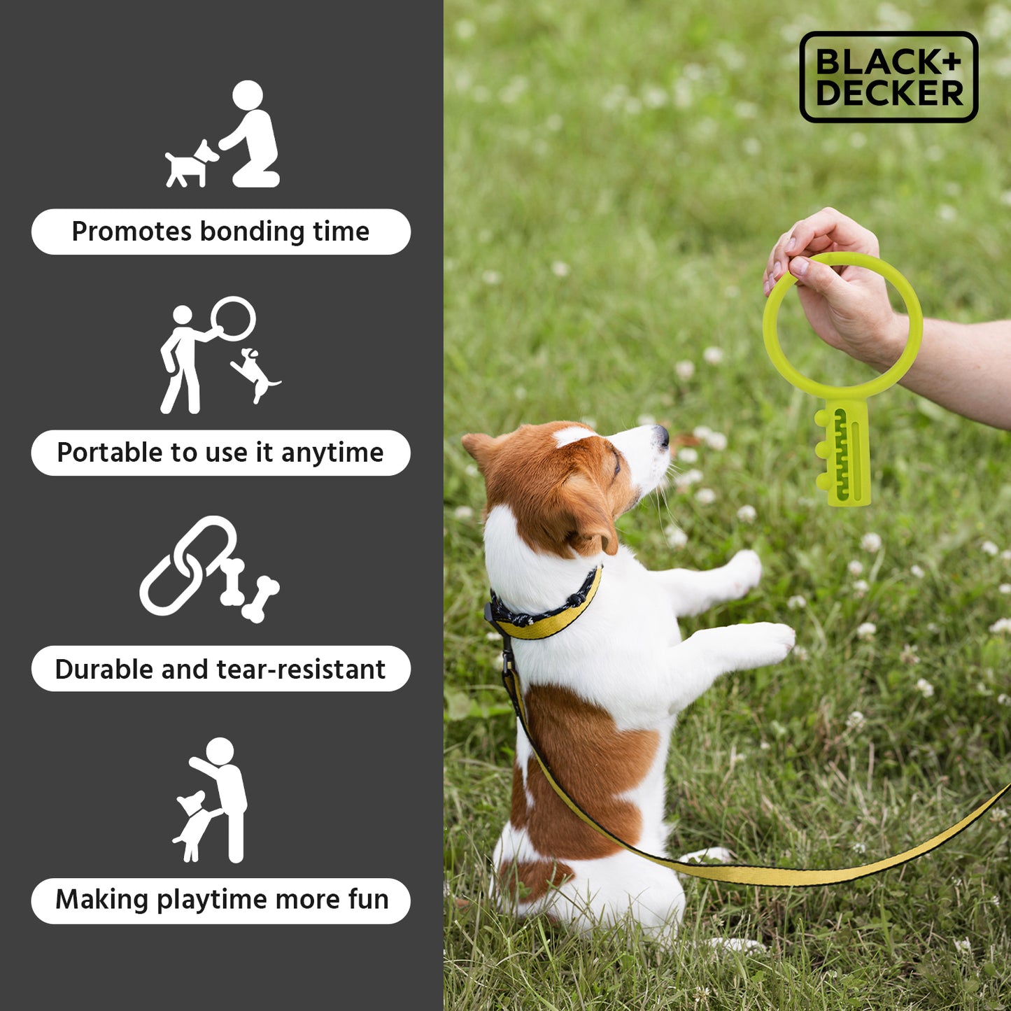 Black+Decker Key Tug, Float Fetch Toy For Dogs - Heads Up For Tails