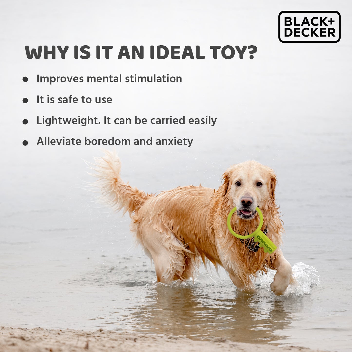 Black+Decker Key Tug, Float Fetch Toy For Dogs - Heads Up For Tails