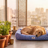 HUFT Jaipuri Phool Lounger Dog Bed - Blue & Pink - Heads Up For Tails