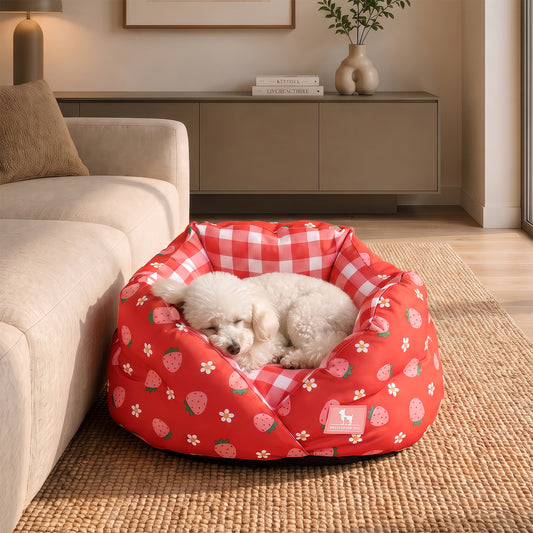 HUFT Purrfect Perch Bed For Cat & Puppy - Red and Pink