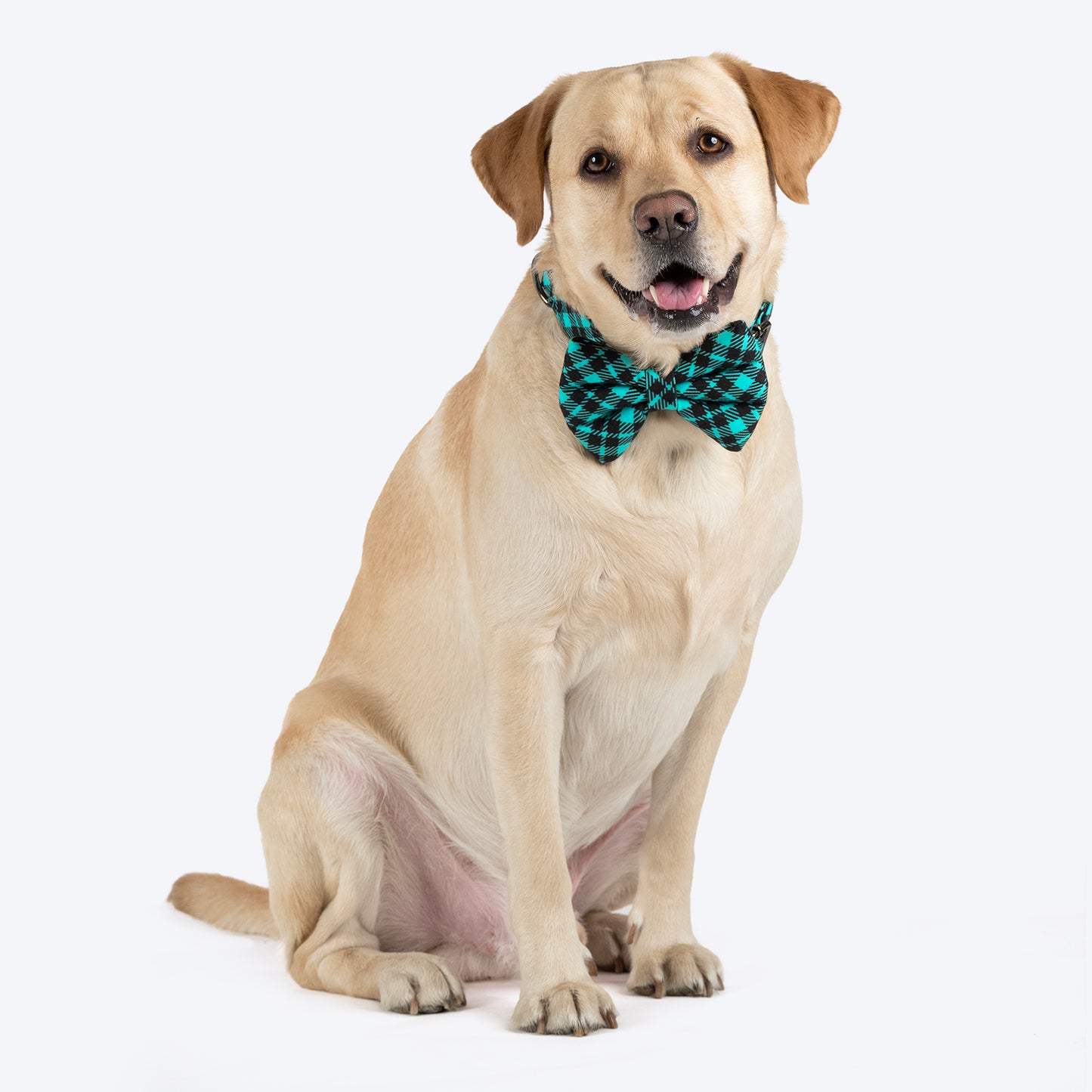 HUFT Personalised Tartan Fabric Collar With Bow Tie For Dogs - Blue - Heads Up For Tails