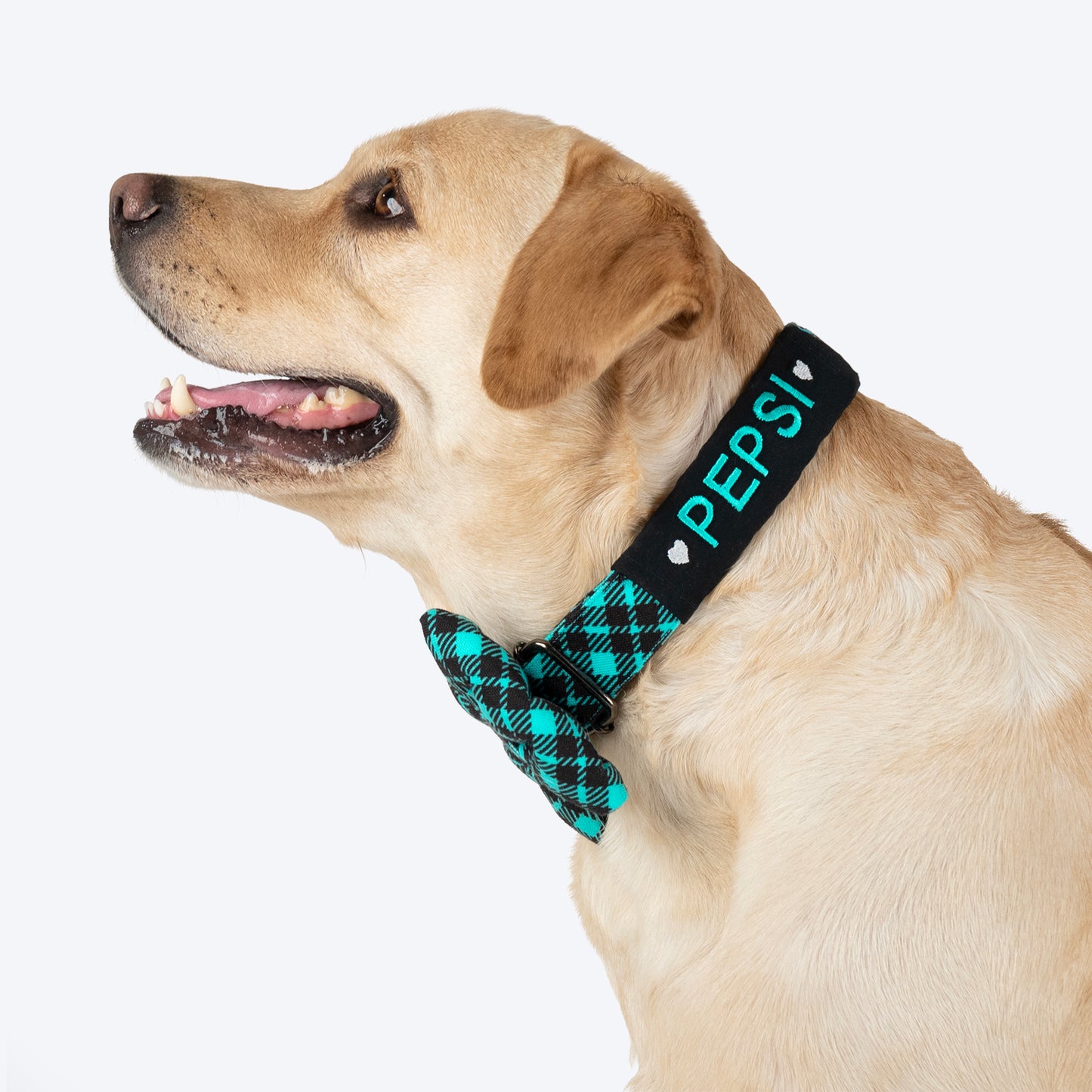 HUFT Personalised Tartan Fabric Collar With Bow Tie For Dogs - Blue - Heads Up For Tails