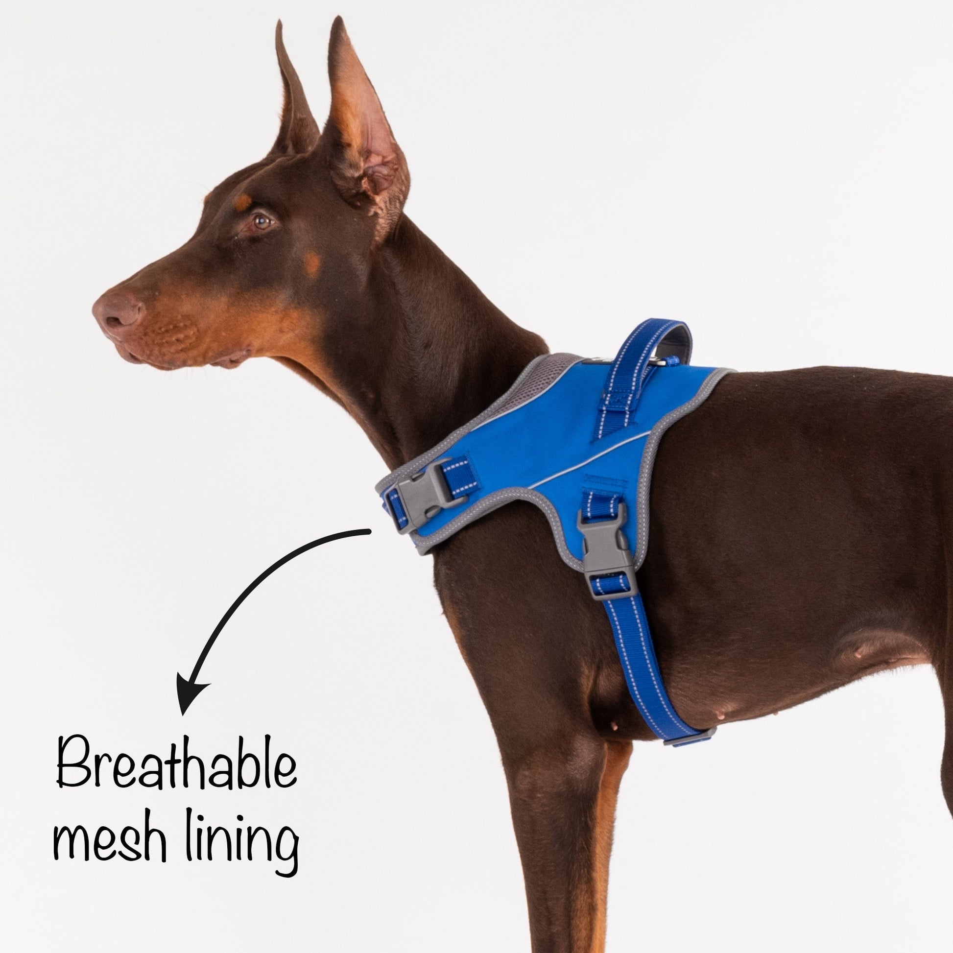 HUFT Easy On Dog Harness - Blue - Heads Up For Tails